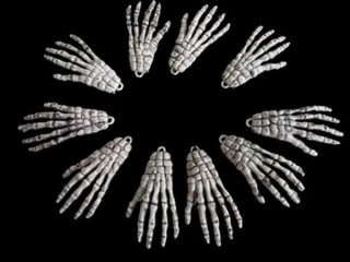 karnevalový doplněk RUKA KOSTLIVEC* pravěk, kostlivec, čarodějnice