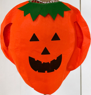 karnevalový kostým DÝNĚ vel. M