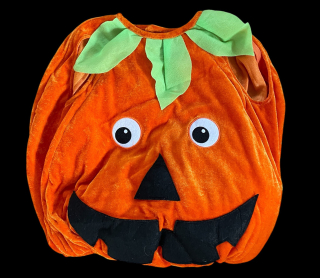 karnevalový kostým DÝNĚ vel. 2-3 roky