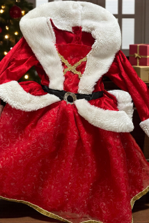 Karnevalový kostým šaty vánoční vel. 9-12 měs.