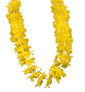 Květinový havajský věnec