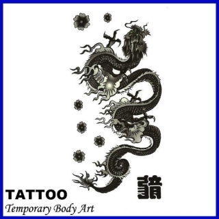 karnevalové tetování ČÍNSKÝ DRAK