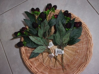 UMĚLÁ KVĚTINA OSTRUŽINA